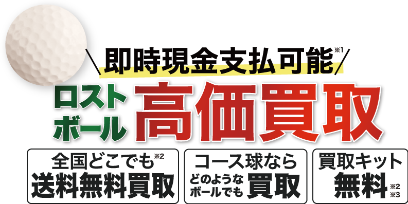 エールのロストボール買取のページ